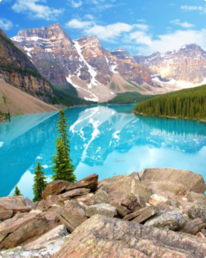 didgigo-canada