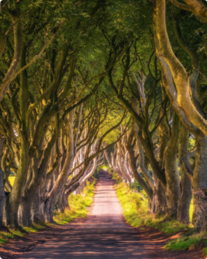 didgigo-ireland