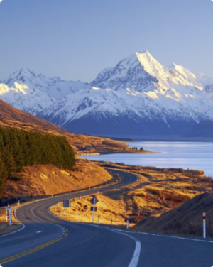 didgigo-newzealand